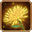 Sun Flower