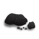 Coal