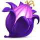 Nightshade Egg