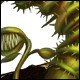 Thorned Venus Mouse Trap