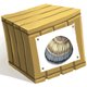 Crate of Seashells