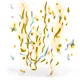 Fancy Confetti