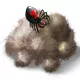 Tasty Spider Mould