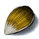 Yellow Pepper Seed