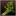 Parsley