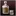 Whiskey