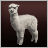 Alpacas