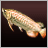 Arapaima