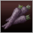 Carrots