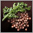 Coriander