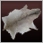 Deerskin