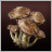 Mushrooms