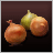 Onions