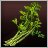 Parsley