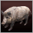 Pigs