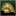 Gold Corona