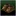 Moccasins