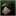 Riding Gloves