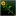 Sunflower Staff