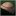 Tonsure