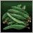 Bamboo Leaf