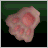 Cat Gloves