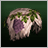 Crown of Grapes