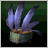 Dayak Feathers