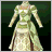 Distinguished Lady's Dress