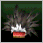 Eagle Feathers