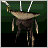 Feather Accessory