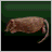 Live Prey (Rat)