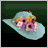 Peppermint Hat