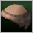 Tonsure